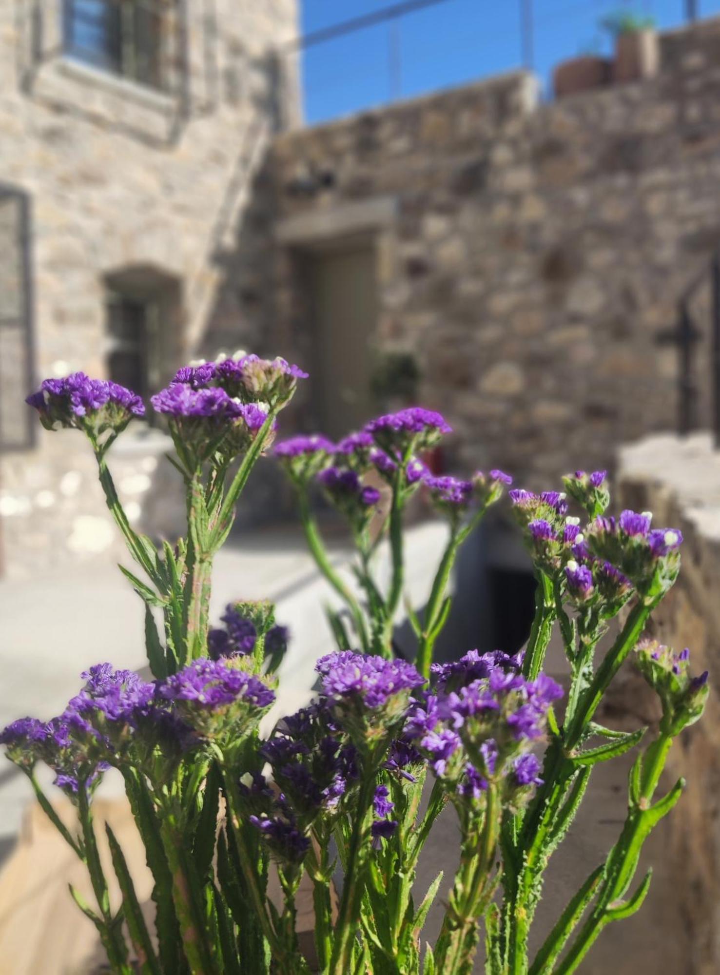 Pyrgi Cretan Living & Spa Pirgos  Eksteriør billede